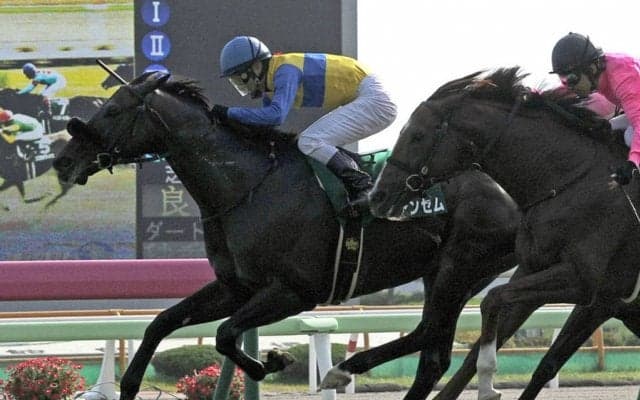 エアアンセム号が競走馬登録抹消