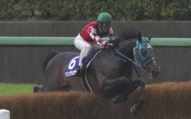 【中山グランドJ】オジュウチョウサンが5連覇の大偉業達成