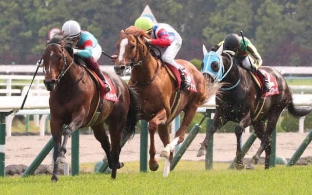 【マイラーズC】マイル王インディチャンプが完勝！断然の支持に応える