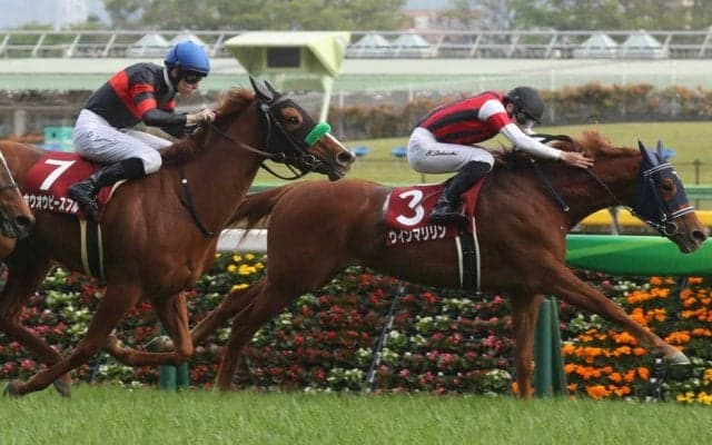 【フローラS】4番人気 ウインマリリンが抜け出す