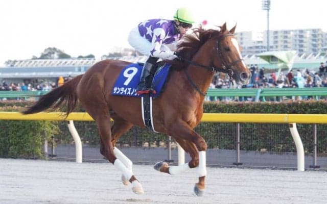 【かしわ記念】JRA出走予定馬