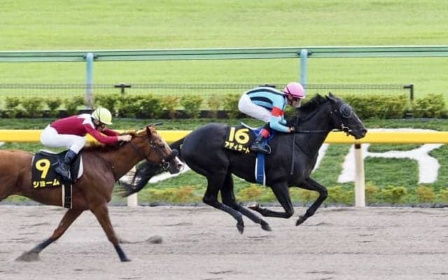 【かきつばた記念】JRA出走予定馬