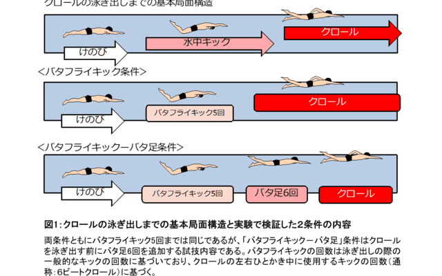 クロールでの泳ぎ出し前のバタ足追加は大きな減速に…順天堂大学