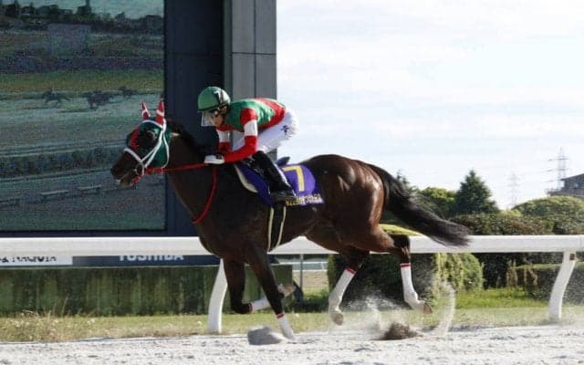 【かきつばた記念】ラプタスが完勝！ダート重賞2連勝