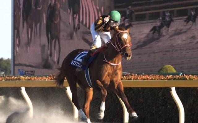 【かしわ記念】枠順と見どころ モズアスコットは5枠5番