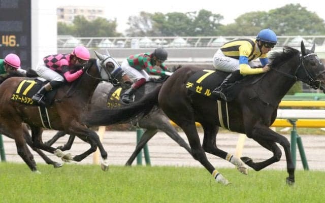 【スイートピーS】デゼルが無傷の2連勝でオークスへ