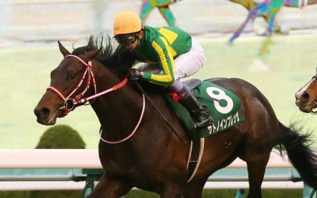 【NHKマイルC】出走馬の調教後の馬体重