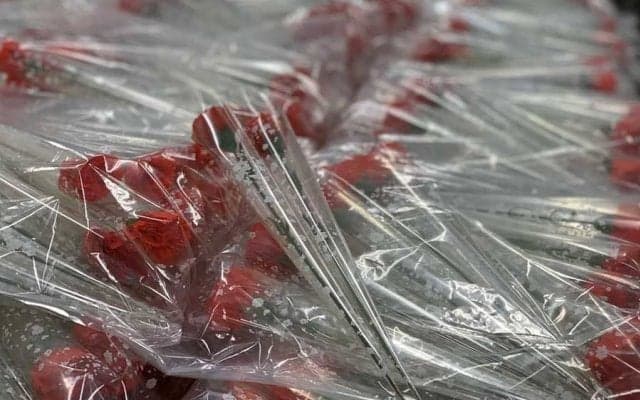 【大学野球】「感謝したい人へ」東京六大学選手たちが贈る　メッセージとカーネーション