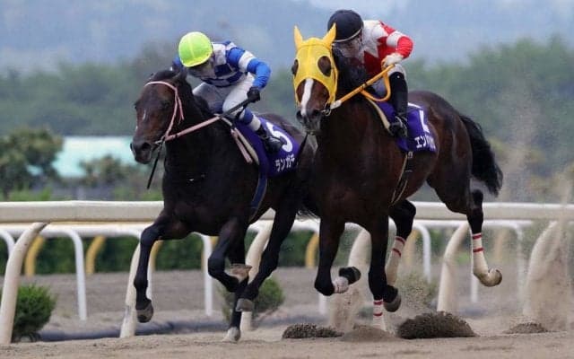 【水沢・シアンモア記念】壮絶な叩き合いの末、ランガディアがエンパイアペガサスをハナ差退けて優勝！