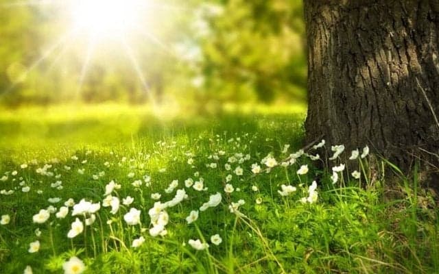 外出自粛の今こそ、体を動かし、新しい運動習慣をつくっていきませんか！