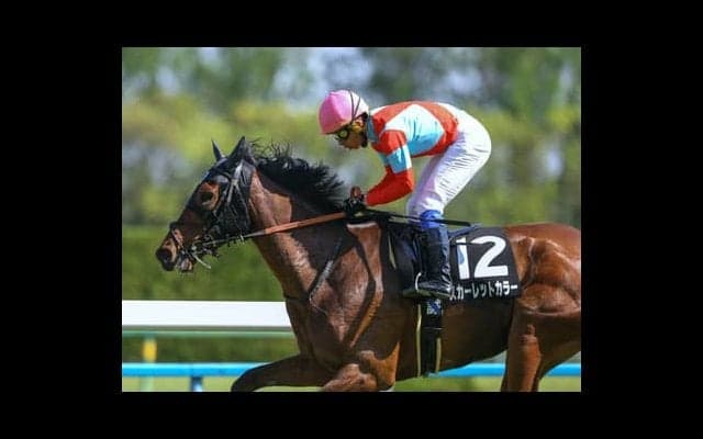 ヴィクトリアマイルは成長株２頭と人気落ちの実績馬２頭で好配当もイケる