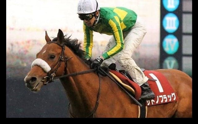 【武豊日記】競馬に絶対はない