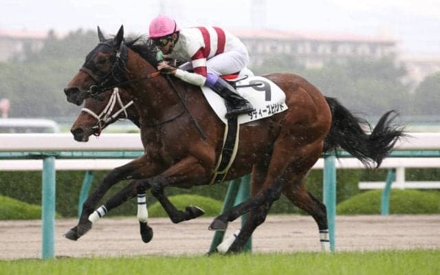 【新馬/阪神5R】一番星はダディーズビビット！武豊が勝利に導く