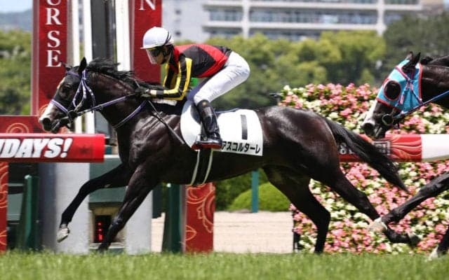 【新馬/阪神5R】アスコルターレがデビューV！ドゥラメンテ産駒JRA初勝利