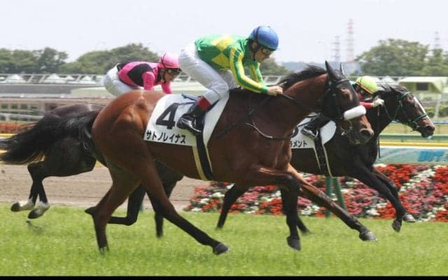 【新馬/東京5R】サトノフラッグ全妹 サトノレイナスがデビューV
