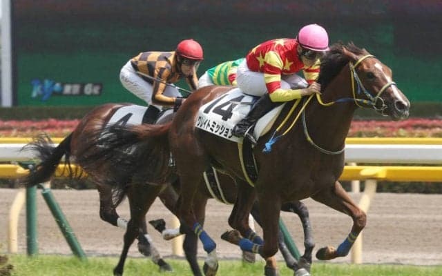 【新馬/東京6R】ダイワメジャー産駒 グレイトミッションが初勝利　