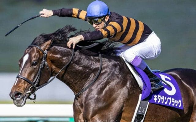 キタサンブラックが顕彰馬に選定