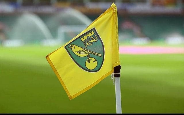 プレミアリーグ、8回目のコロナ検査でノリッジ選手1名含む2名に陽性反応