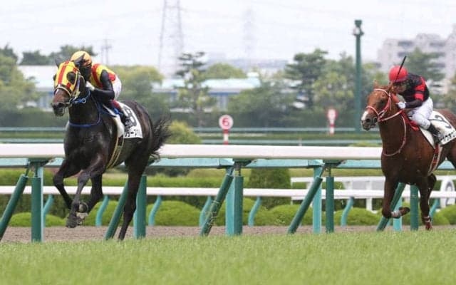 【新馬/阪神5R】キズナ産駒 フラーズダルムが4馬身差完勝！
