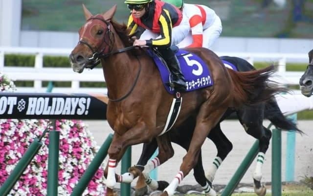 【宝塚記念 出走馬決定順】フルゲート18頭が登録　ファン投票2位ラッキーライラック、3位サートゥルナーリアなど
