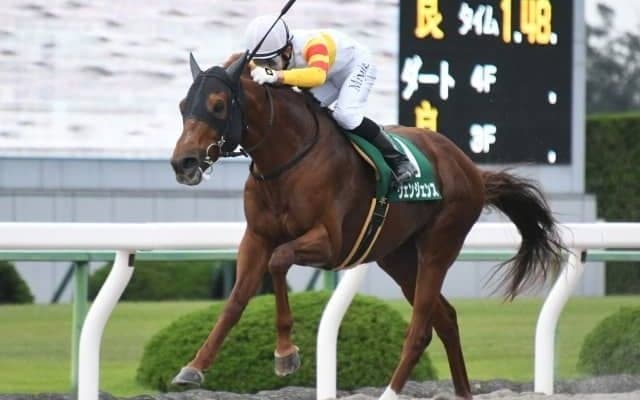 【三宮Sハンデ確定】ヴェンジェンスは58kg、クリンチャーは57.5kg