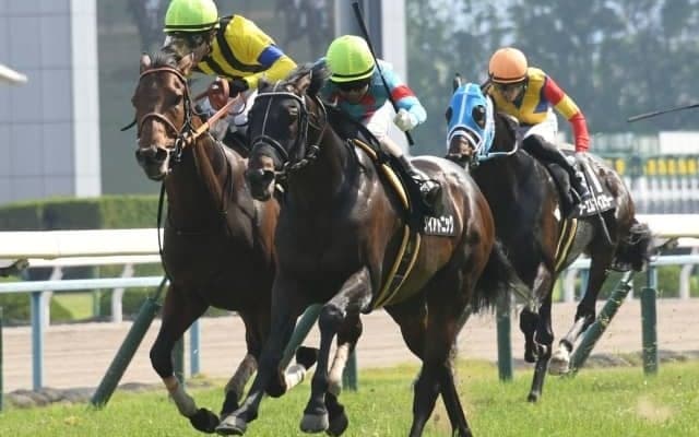 【函館スプリントS見どころ】ダイアトニックが重賞2勝目を狙う