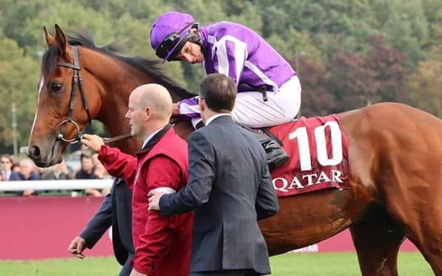 【英・プリンスオブウェールズS】G1・2勝馬ジャパン、アデイブ、バーニーロイなど7頭立ても注目馬多数