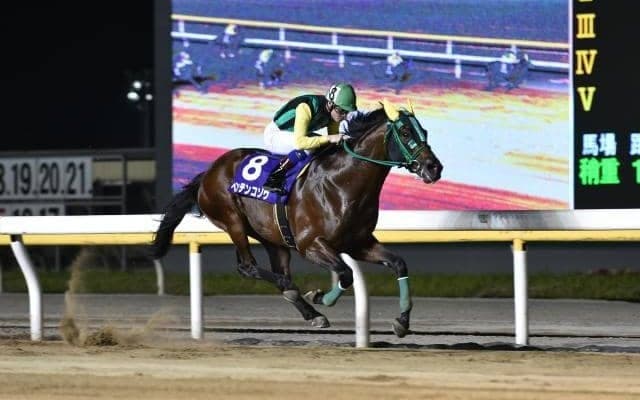 【京成盃GM予想】好メンバー揃いの南関古馬マイル重賞は配当妙味にも期待！