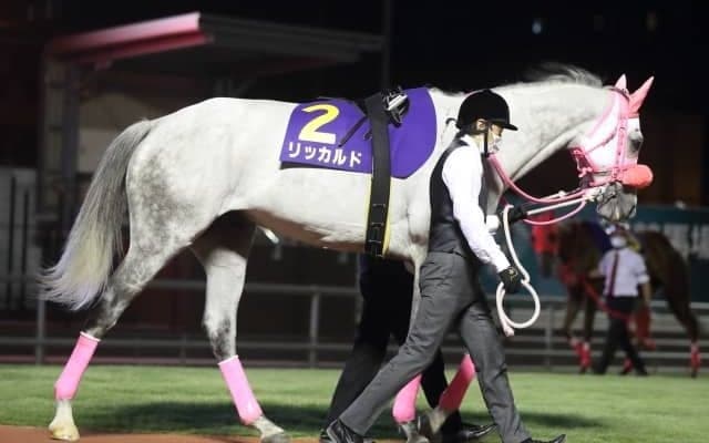 【京成盃グランドマイラーズ予想】川崎マイラーズ再戦メンバーも混戦必至!!/NARレース展望