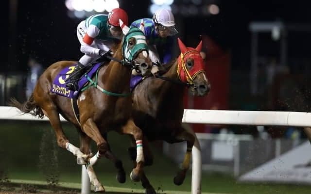 【門別競馬情報】「週2日」今週がラスト。2夜連続の重賞、まずは“リピーター”活躍目立つ「第6回ヒダカソウカップH2」/地方競馬情報