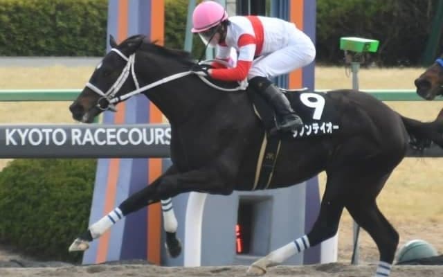 【次走】ダノンテイオーはジュライSへ