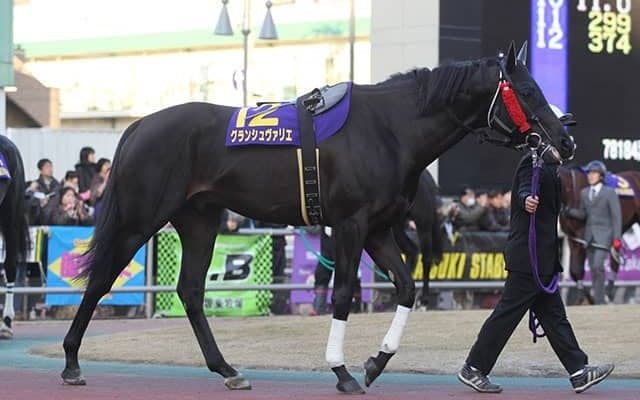 【高知優駿回顧】リワードアヴァロンの奇跡的快挙と高知競馬の今/斎藤修コラム