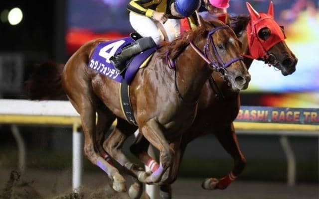 【船橋・京成盃グランドマイラーズ結果】カジノフォンテンが接戦を制し重賞初V！
