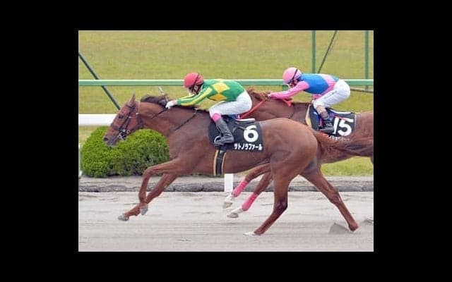 出世レースのユニコーンＳ。人気馬よりも注目すべき期待の２頭がいる