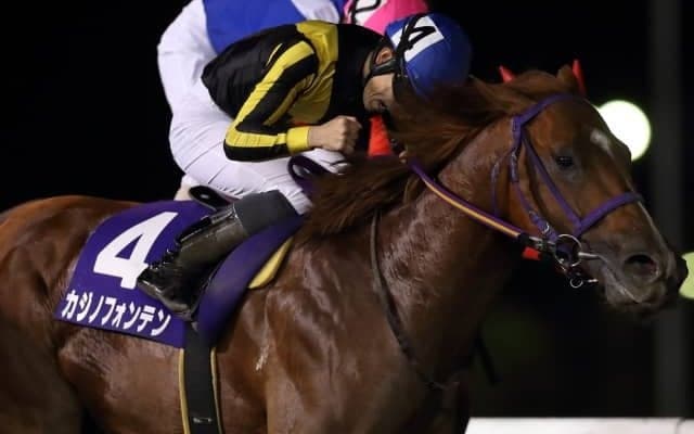 【船橋・京成盃グランドマイラーズ】カジノフォンテンがV、張田昂騎手「感謝の気持ちでいっぱいです」