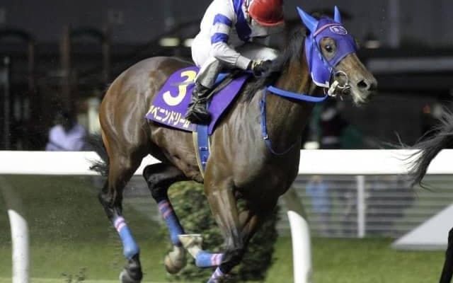 【門別競馬情報】北斗盃失速の雪辱を期すアベニンドリーム。成否のカギは“序盤の攻防”「第48回北海優駿(ダービー)」/地方競馬情報