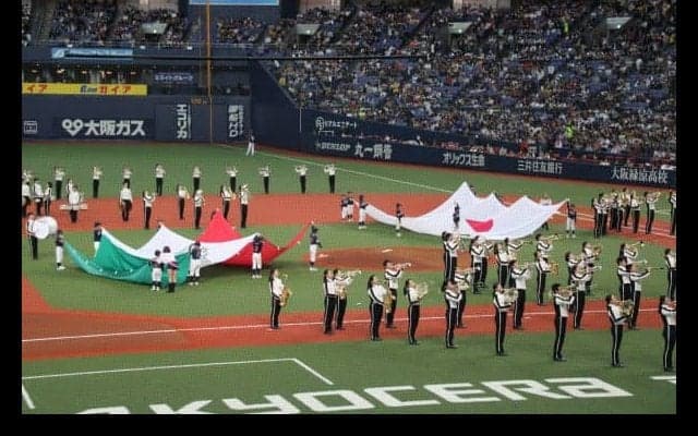 侍ジャパンシリーズ2019からみたレベルアップするメキシコ野球【WORLD BASEBALL vol.2】