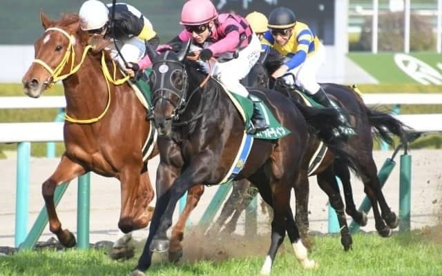 【次走】スマートオーディンはパラダイスSへ