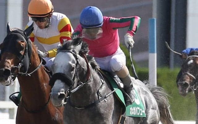 【帝王賞】JRA出走予定馬