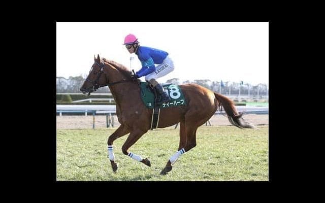 函館スプリントＳで美味な穴馬券。人気薄ベテランと昇級初戦の馬が味付け