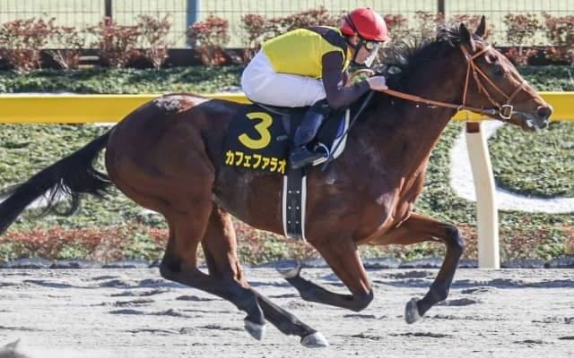 【ユニコーンS枠順確定】カフェファラオは大外8枠16番、レッチェバロックは3枠5番