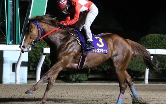【佐賀がばいダッシュ】転入後無傷10連勝中！ ドラゴンゲートは8枠9番からの発走