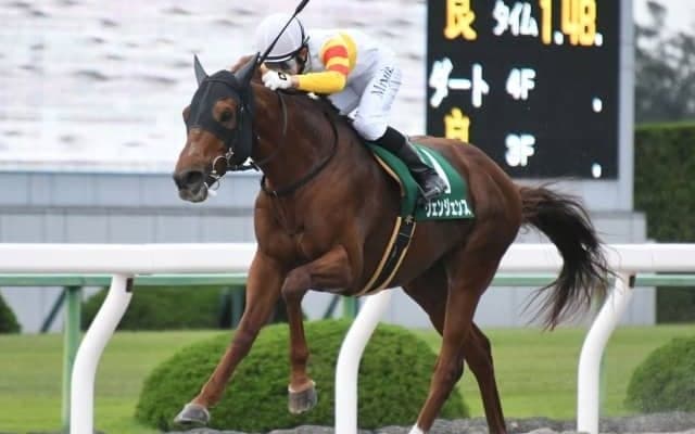 【本日の注目ポイント】阪神でハンデのOP特別・三宮S、各場の新馬戦にも注目