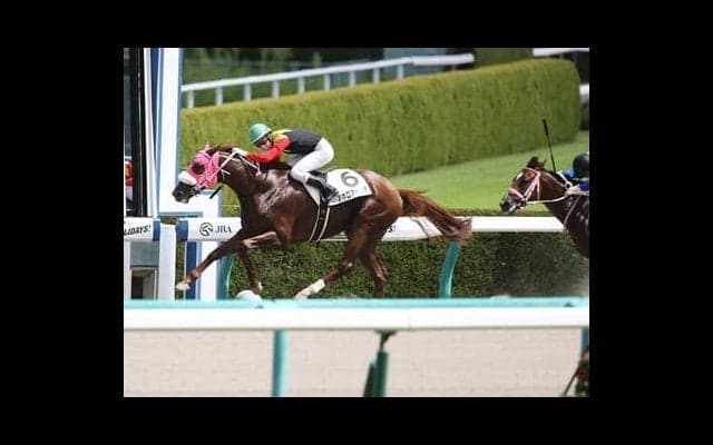 ユニコーンＳでウハウハ予想。穴党記者がホレた３頭に決め手あり