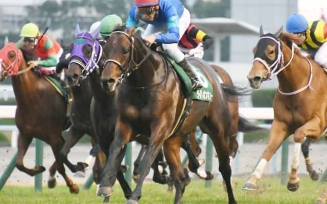 【函館スプリントSゴールデンコンビ】「直近1年」の複勝率49.0％、複勝回収率181.2％！「昆貢厩舎×古川吉洋騎手」のライトオンキュー