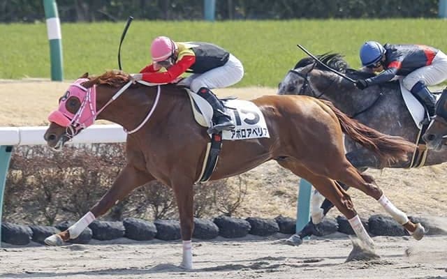 【ユニコーンS予想】比較的堅く収まる傾向にある3歳ダート重賞！ 穴候補として狙いたい馬の条件とは？/JRAレース展望