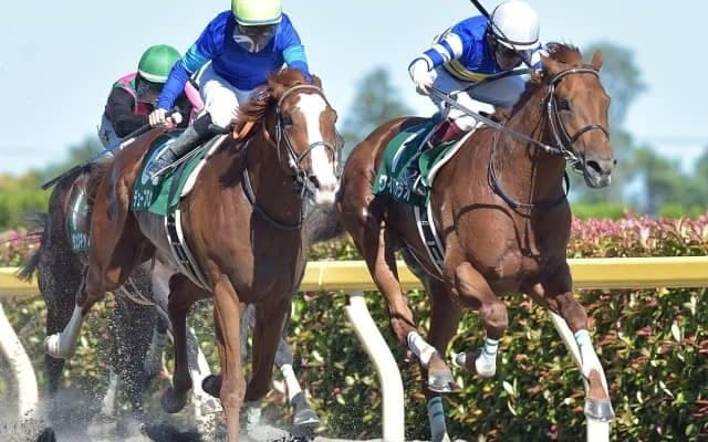 【本日の注目ポイント】東京でユニコーンS、函館で函館スプリントS