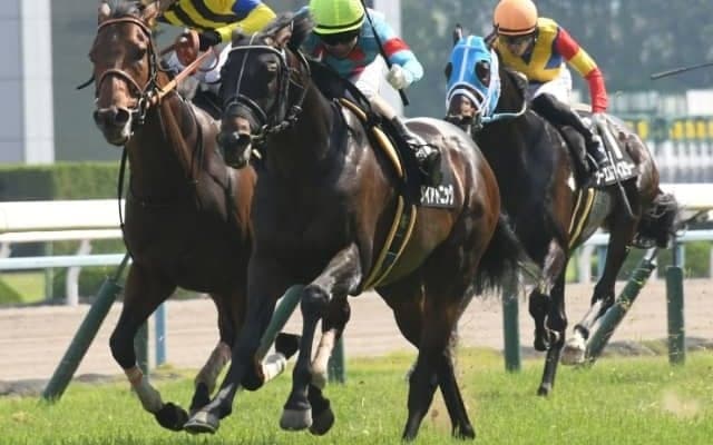 【函館スプリントS見どころ】サマースプリントシリーズの開幕戦に武豊ダイアトニックら参戦