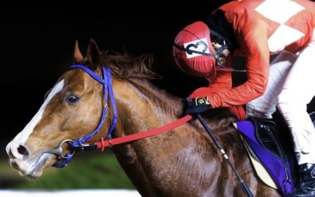 【佐賀がばいダッシュ予想】佐賀で無敗の10連勝ドラゴンゲート、ここも突っ走る/NARレース展望