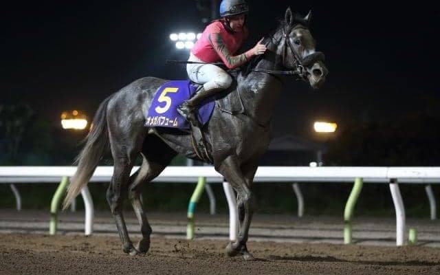 【大井・帝王賞枠順確定】オメガパフュームは7枠11番、クリソベリルは5枠8番